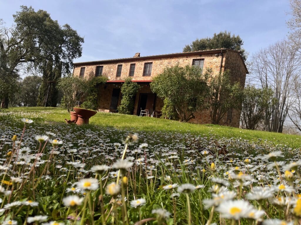 Casa Ferruccio at Easter with daisies