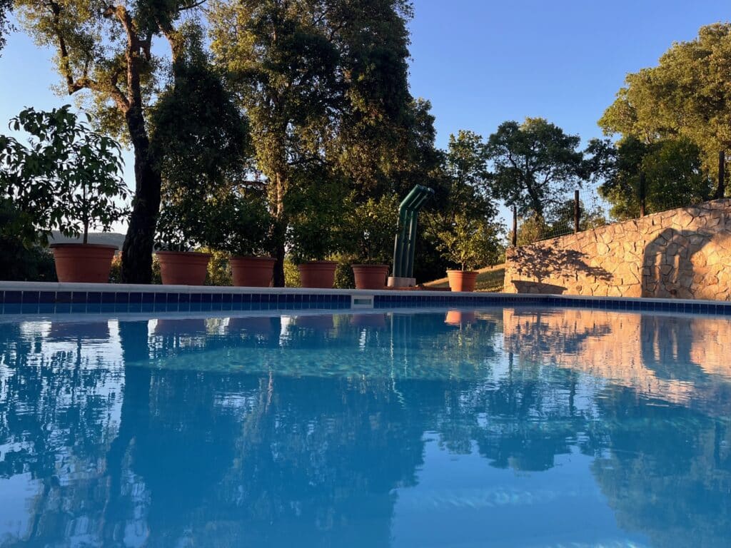 Dive into the pool at Casa Ferruccio