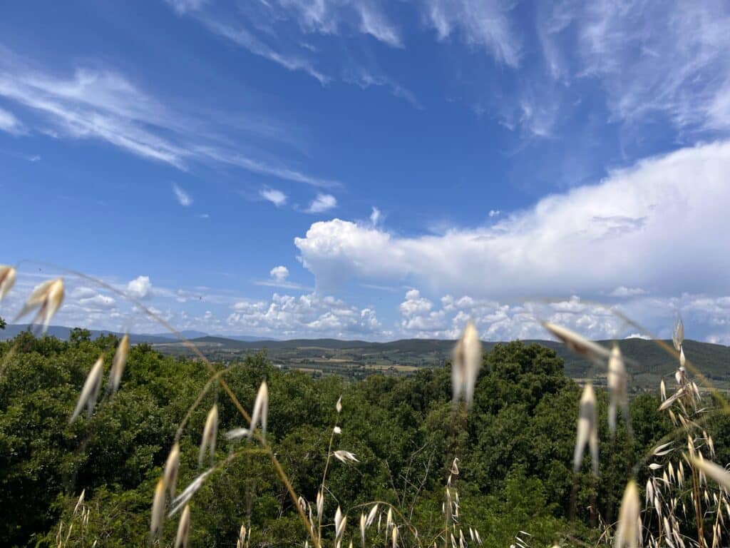 View from the oat hill