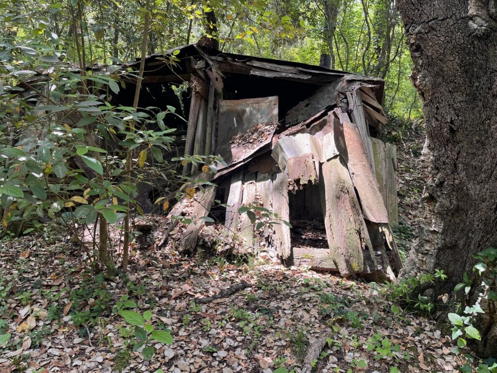 On an exploration tour - dilapidated chicken coop